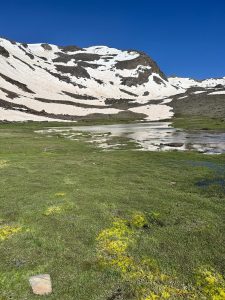 Montaña-IntegralSierraNevada00002