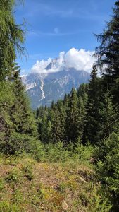 AnilloZoldo-Dolomitas00003